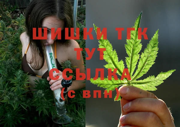 спайс Арсеньев