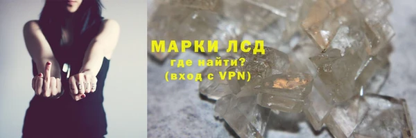 спайс Арсеньев